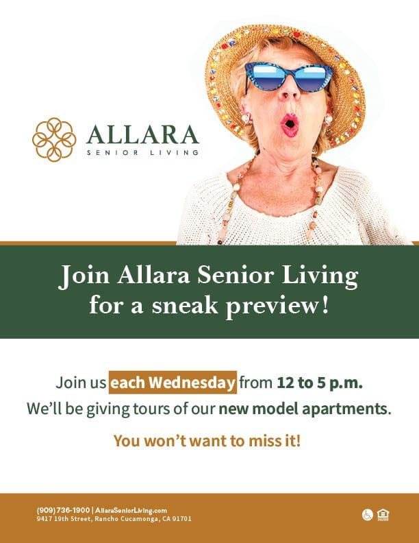 Allara tour flyer